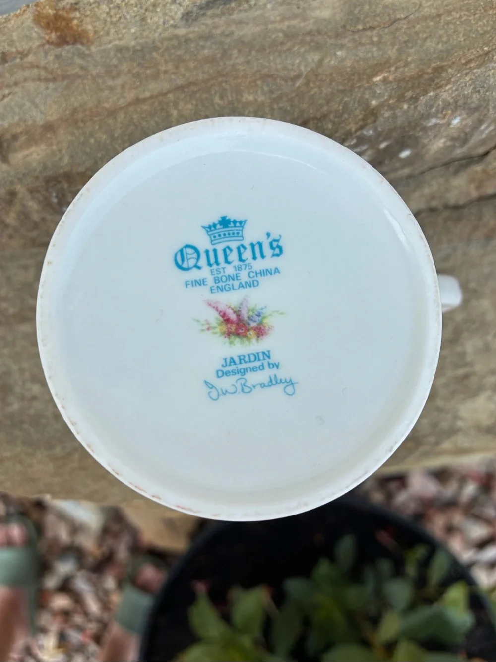Vintage Queen's Fine Bone China Cup